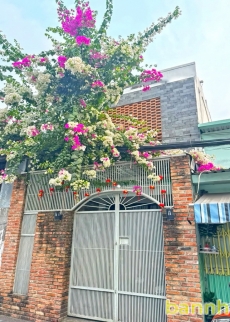 Bán nhanh nhà 1 lầu hẻm 3m Trần Xuân Soạn, Phường Tân Hưng, Quận 7