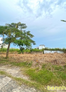 Cần tiền bán gấp lô đất thổ cư hẻm 8m Nguyễn Bình, Nhơn Đức, Nhà Bè